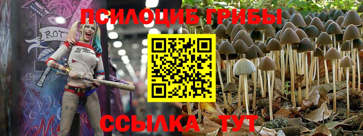 Псилоцибиновые грибы MAGIC MUSHROOMS Тулун