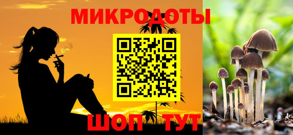 Псилоцибиновые грибы Psilocybine cubensis  Галлюциногенные грибы Cubensis  Тулун  Вход с VPN 